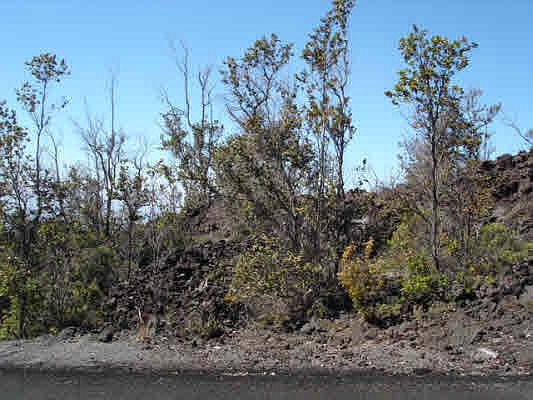 2nd image of Tiki Ln Lot 26