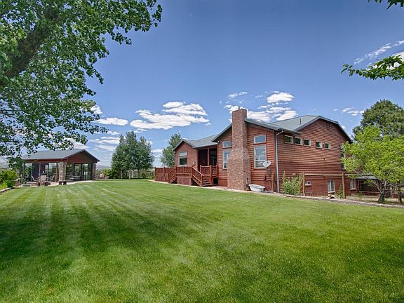 Back Yard Grass