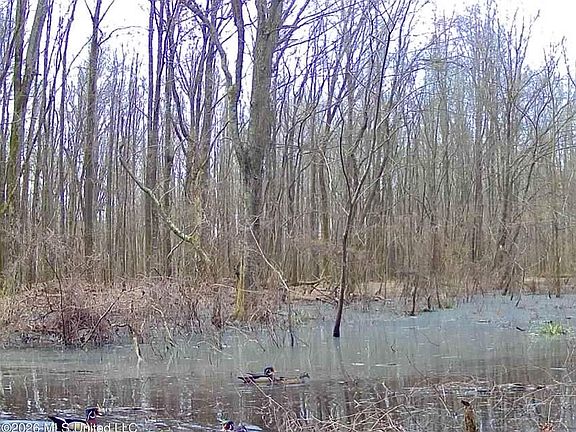 5th image of Howard St