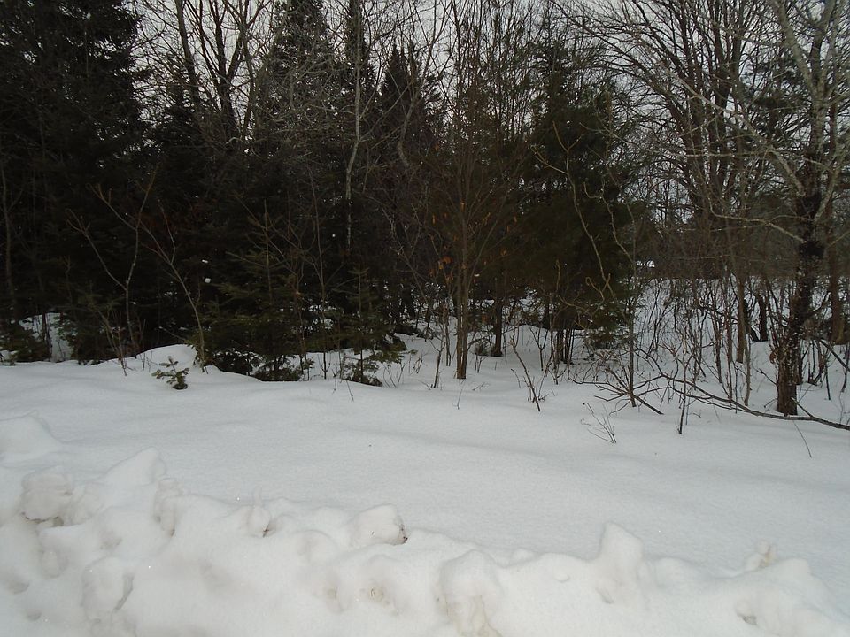 2nd image of Bruin Dr