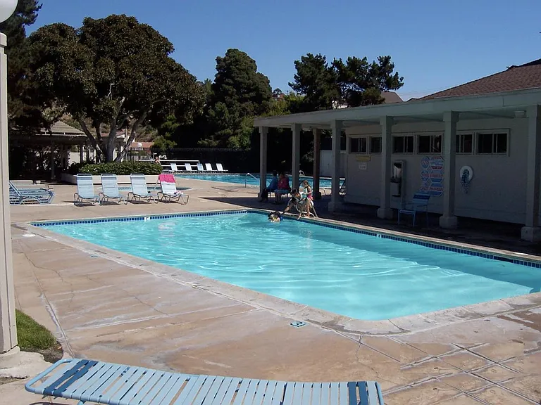 Lap Pool