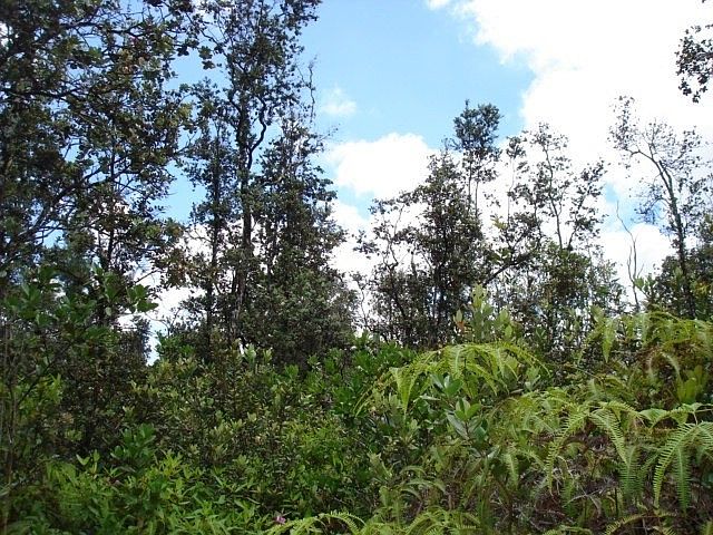 2nd image of Pikake St Lot 13