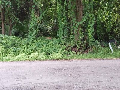 108 Big Apple Rd E #6, East Palatka, FL, 32131