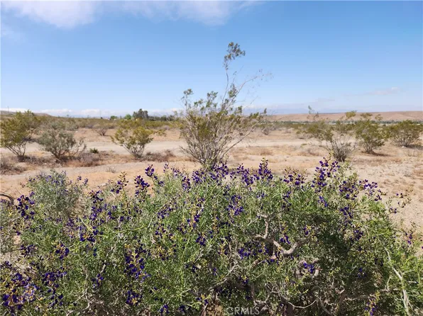 On Silver Mountain Rd, Oro Grande, CA 92368