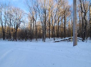 Pinevalley Dr, Elmira, MI 49730