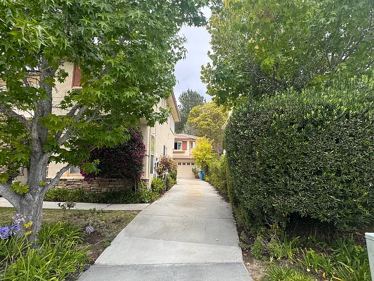 4450 Calle Mar De Armonia — Photo 13