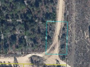 POWERLINE ROAD LOT 19, CHIPLEY, FL 32428
