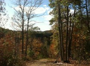 Tbd Austin Springs Rd, Johnson City, TN 37601