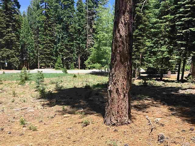 1st image of 302 Lake Almanor West Dr