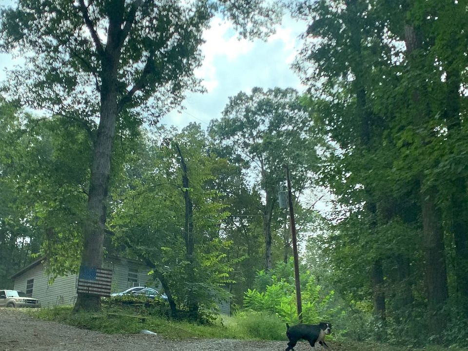 2nd image of 244 Booger Branch Rd