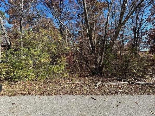 9744 Lee Dr, Hillsboro, MO 63050