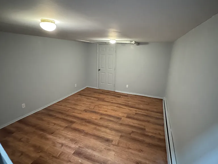 Lower level - Bedroom/Living Room