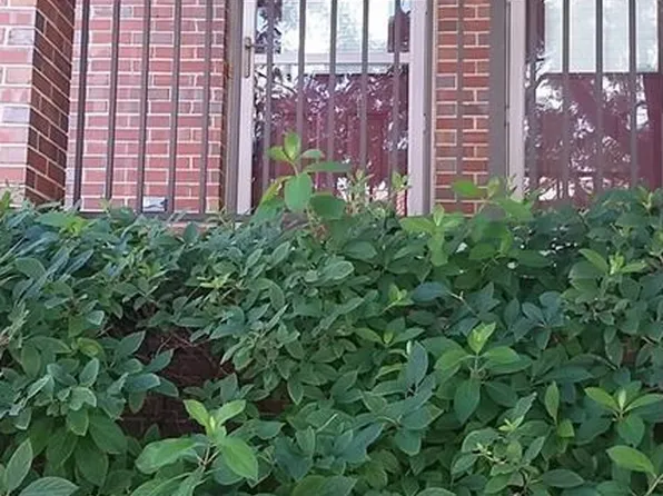 1439 S Main St #43, Royal Oak, MI 48067