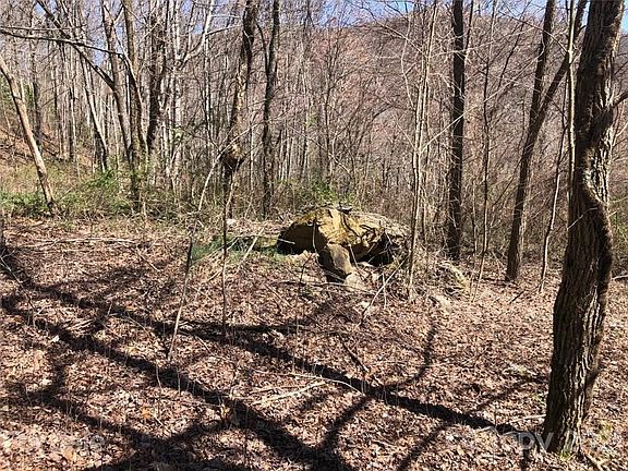 4th image of 411 Buckeye Branch Dr
