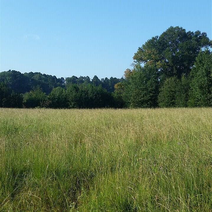2nd image of 347 Bud Rd