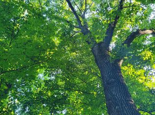 LOT 17 Wind Ridge Dr, Bellaire, MI 49615