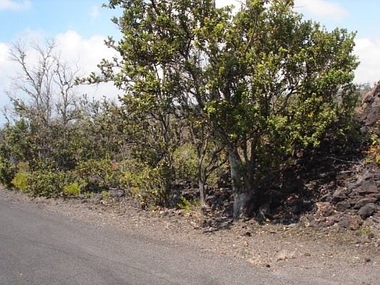 2nd image of Island Blvd Lot 32