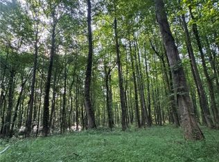 TRACT 1 Old Mill Rd, Easley, SC 29642