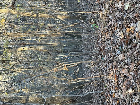2nd image of LOT 56 And Lisanby Rd Lot 57