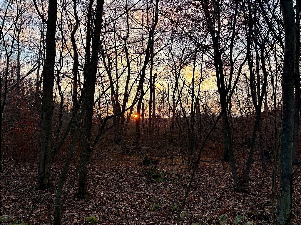 Rustic Ridge Rd, Champion, PA 15622 | Zillow