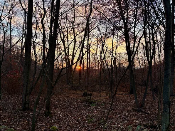 0 Rustic Ridge Rd, Champion, PA 15622