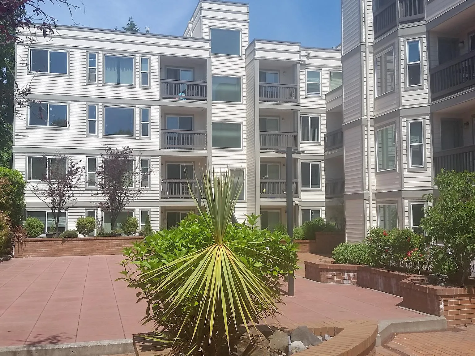 Studio, 445 sqft, $1,375 — Photo 3