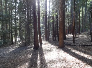 2841 Nowach Ct, Arnold, CA 95223