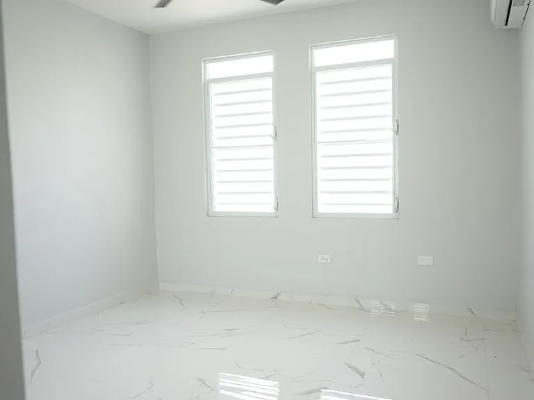 Bo Cotto Calle Apolonio Velez PR 113 — Photo 20