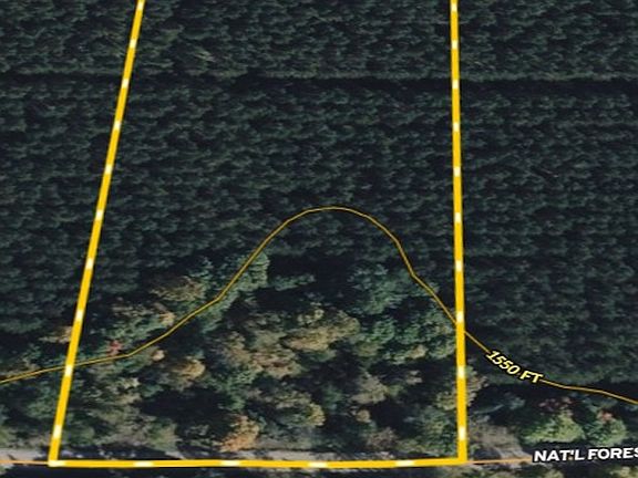 4th image of Morgan Lake Rd