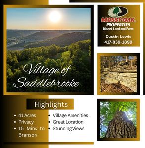 TRACT 1 Greenwood Rd, Chestnutridge, MO, 65630