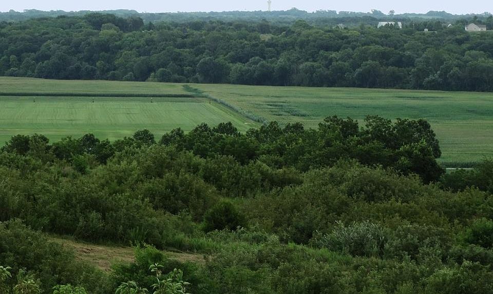 View to East from Building Site