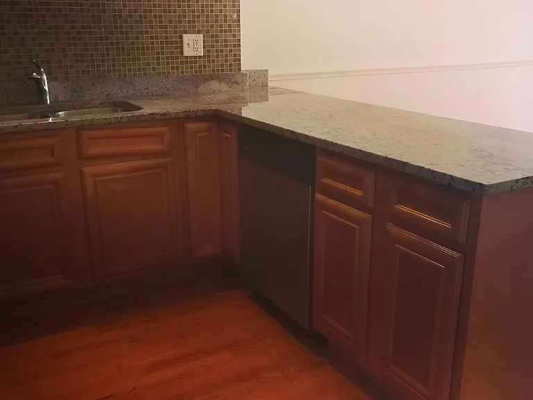 6311 N Albany Ave #1B — Photo 6