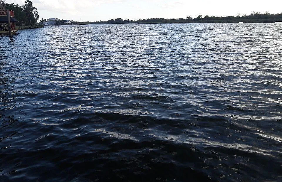 Scenic Dr, Dickinson — Photo 4