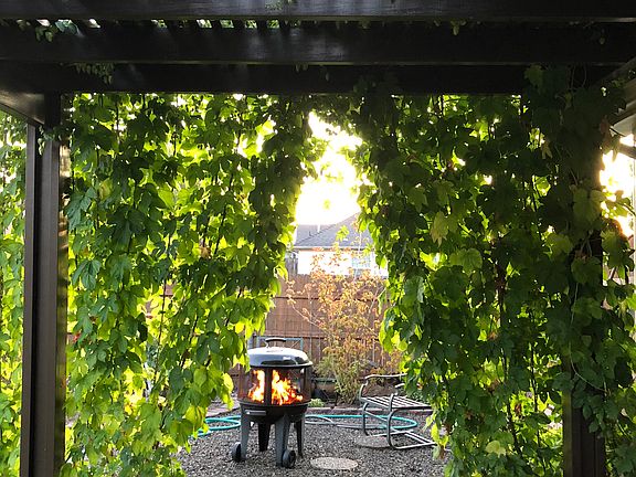 Pergola 