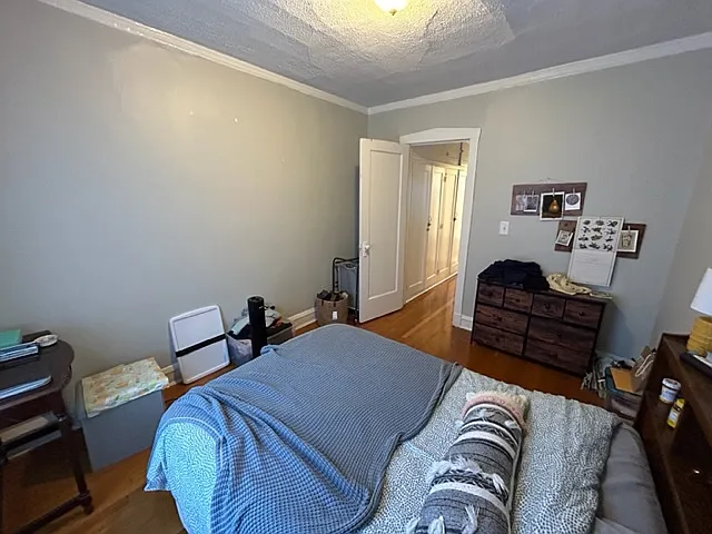 6647 N Newgard Ave #3E — Photo 8