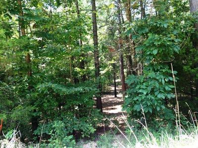 Glory Rd, Mountain View, AR, 72560