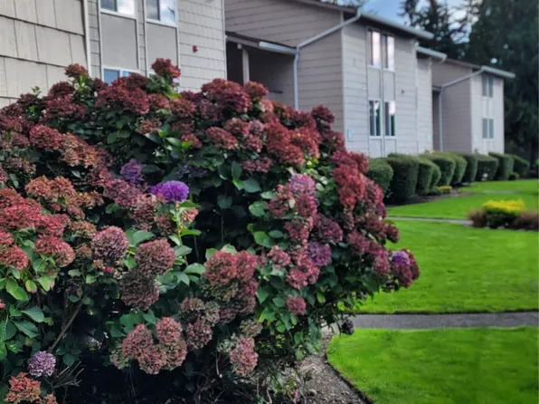 33010 17th Place S #A-108, Federal Way, WA 98003