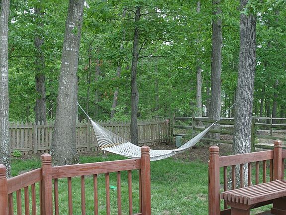 Wooded Area Backyard