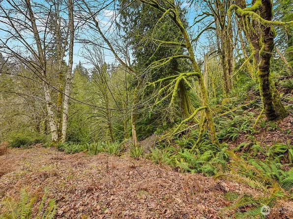 376 Beach Drive, Quilcene, WA 98376