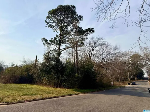 205 Western Ave Lot 1, Sylacauga, AL 35150