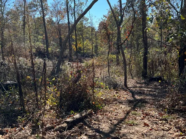 1 County Road 475, Rector, AR 72461