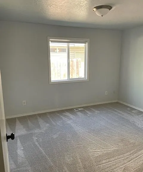 17655 Dark Zebra Way — Photo 11