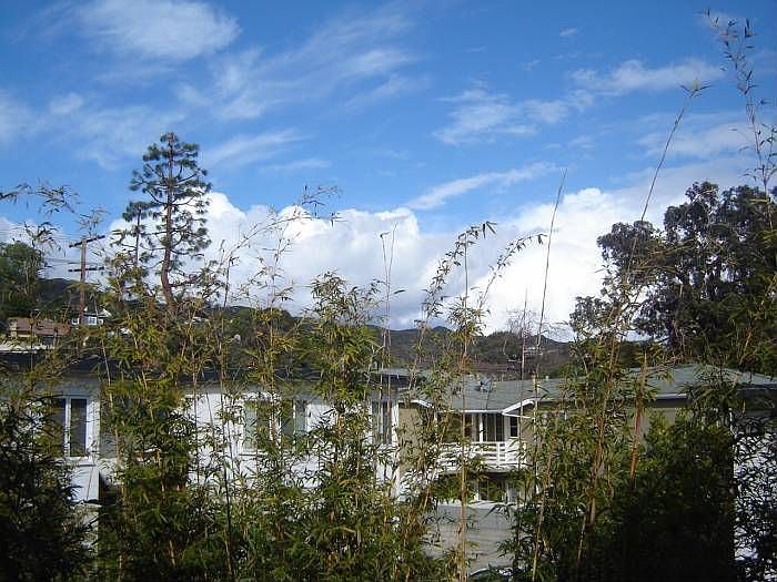 View from Balcony
