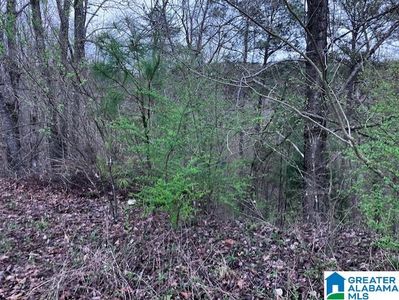 8450 Cross Creek Way #1, Bessemer, AL, 35023