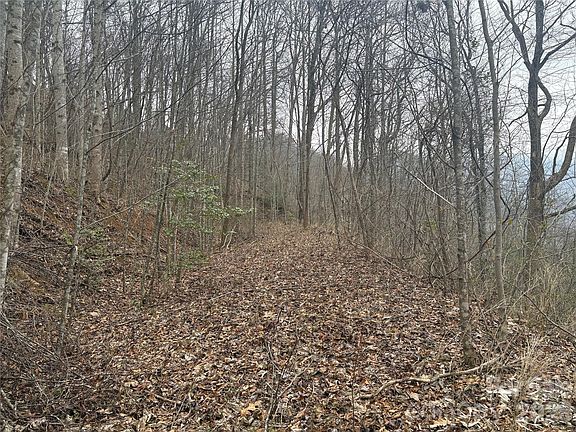 3rd image of 0 Country Club Dr Lot 11
