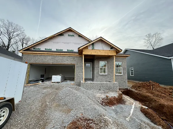 The Alyse Plan, Carter Crossings