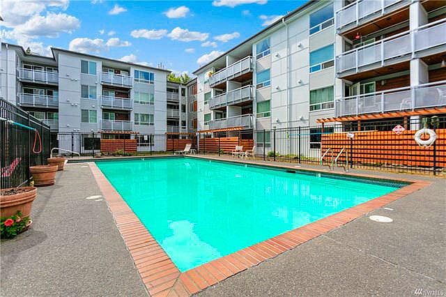 Swimming Pool-Facing South