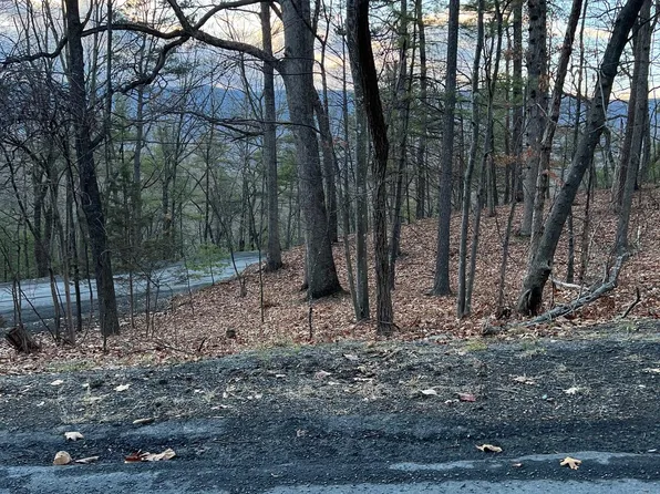 Pheasant Dr, Basye, VA 22810