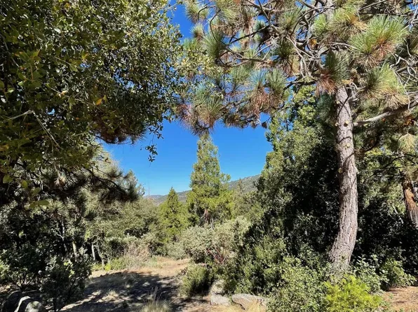 Double View Dr, Idyllwild, CA 92549
