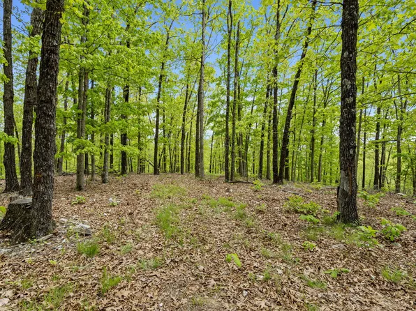 Lot 12 Sapphire Terrace, Kimberling City, MO 65686